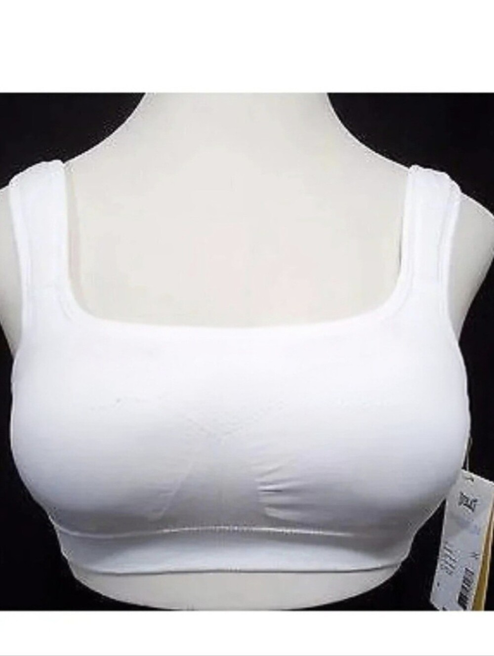 Everlast Wire Free Hi Impact Seamless Sports Bra MEDIUM White New with Tags Adju